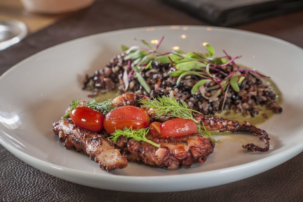 Polvo com arroz sete grãos e creme de azedinha, um dos sucessos do Sal (foto: divulgação)