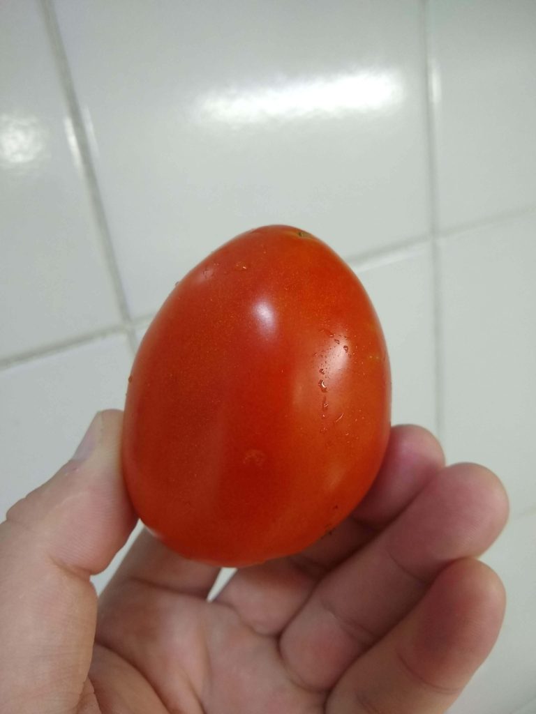 Lave bem o tomate.