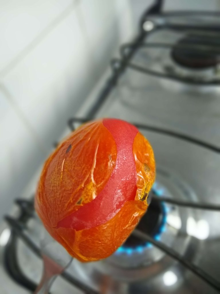 A casca do tomate vai se rompendo.